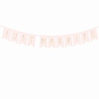 BANNER Just Married rov 15x155cm