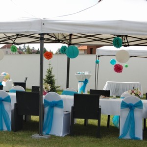 Party stany