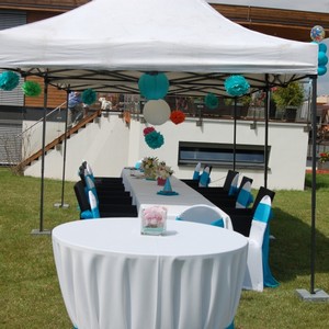 Party stany