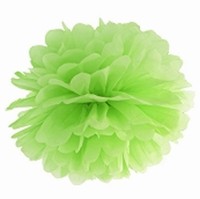 Pom pom 25cm svtle zelen
