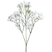Dekorace Gypsophila 67 cm 1 ks