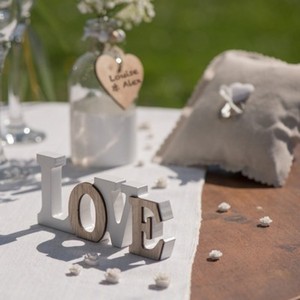 NPIS LOVE devn