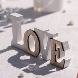NPIS LOVE devn 1