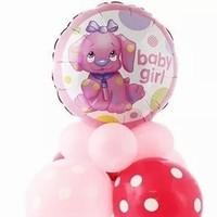 SET balnk Baby Girl Pejsek